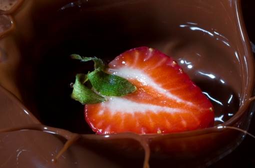 שוקולטיירים מקצועיים הם אמנים הרואים בשוקולד כחומר הגלם ליצירה