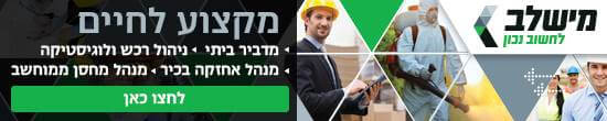 מכללת מישלב